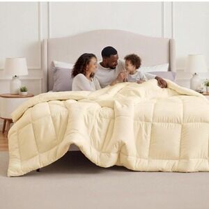 Bedsure Oversized Queen Comforter Duvet Insert Cream Down Alternative All Season